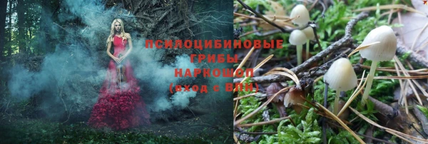 метадон Аркадак