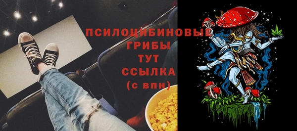 метадон Аркадак