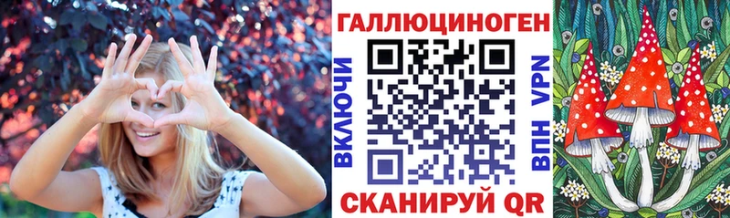 Псилоцибиновые грибы Psilocybine cubensis  Новое Девяткино 
